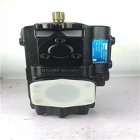 Parker Denison T6H20C 028 1R1C 2L0M0 10 Motor Omboh Hidraulik T6H20C-M17-4R1C-0L000-00
